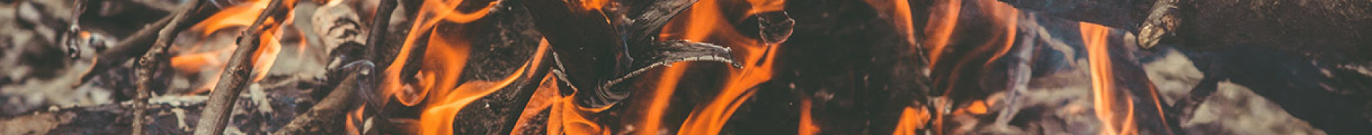 Wide gallery full width